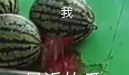 吃瓜吃的房子塌了,一女子因过度关注娱乐圈，房子竟被“吃”塌