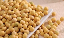 小黄豆吃瓜视频,揭秘瓜界奇闻异事