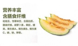 哈密吃瓜 哪里好,探寻最佳瓜果品尝地