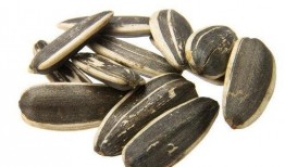 吃瓜和吃瓜子图片区别,视觉差异下的美味探索