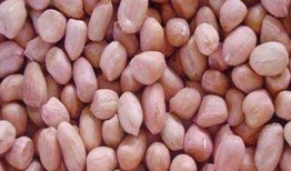 梦见种花喝酒吃花生瓜,种花、饮酒、花生瓜的奇幻之旅