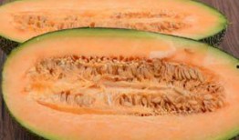 哈密瓜整个削皮吃,哈密瓜整皮食用新体验