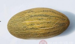 洗澡吃哈密瓜好吗,健康与美味的双重享受