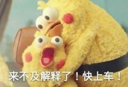 肥波吃大瓜,大瓜盛宴尽享美味时光