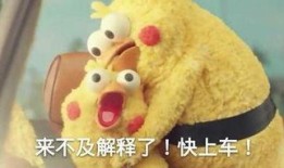 肥波吃大瓜,大瓜盛宴尽享美味时光