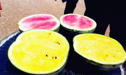 乌拉吃瓜爆料,揭秘娱乐圈幕后真相