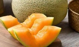吃网纹哈密瓜,甜蜜诱惑，尽享夏日清新