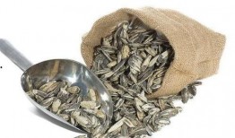 吃瓜和吃瓜子图片区别,视觉差异下的美味探索