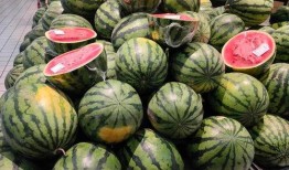 瓜没熟吃生瓜怎么样