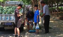 贵州公安吃瓜群众,吃瓜群众见证法治力量