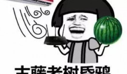 许昌吃瓜照片,一图看尽人间烟火