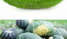 今天吃瓜指的什么瓜,一场全民参与的舆论盛宴