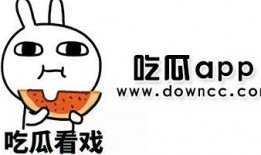 网红黑料吃瓜在线观看,吃瓜群众在线观看全纪录