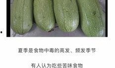 瓠瓜主干能不能留瓜吃,瓠瓜主干留瓜食用价值探讨