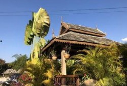 安全屋佛寺吃瓜,一场别开生面的吃瓜盛宴