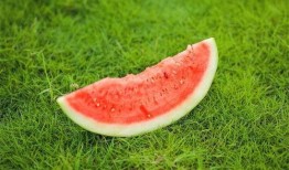 吃瓜嘴巴发麻,揭秘神秘食物背后的刺激真相