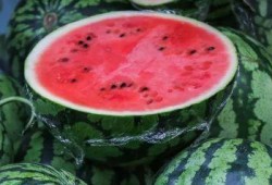 婷儿吃瓜记录,揭秘娱乐圈那些事儿