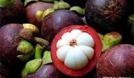 油脂分泌旺盛吃瓜,油脂分泌旺盛者的饮食攻略