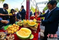 吃瓜来店中国,探寻中国美食文化的独特魅力