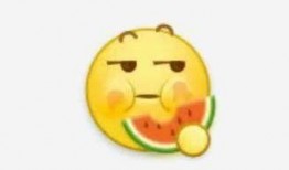 吃瓜主人的意思,网络红人的崛起与影响力