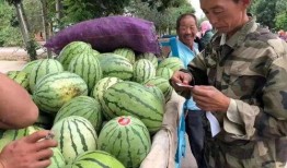 宝藏吃瓜,揭秘娱乐圈幕后故事，带你领略明星们的真实生活