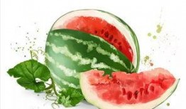 吃瓜美食小说,穿越时空的味蕾之旅