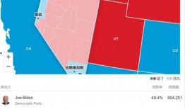 美国吃瓜攻略大选