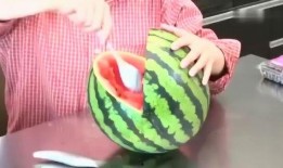 吃黑面瓜视频,视频带你领略独特风味