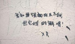 吃瓜小故事文字,一场吃瓜小故事的欢乐盛宴