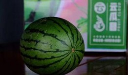 如何放弃吃瓜,如何从围观者转变为独立思考者