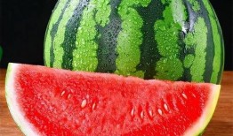 每天都吃麒麟瓜好吗,健康生活新选择