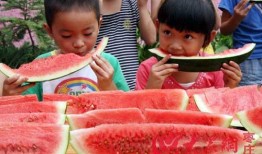 鲁南吃瓜,一场舌尖上的夏日盛宴