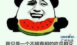 吃瓜真吗,网络热词背后的真相与反思