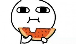 肥波吃大瓜,大瓜盛宴尽享美味时光