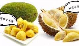 潘北北吃瓜,揭秘娱乐圈背后的那些事儿