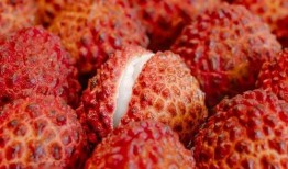 吃荔枝能吃瓜吗,同食相宜还是禁忌？